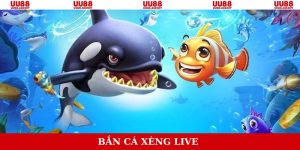 bắn cá nhân ngư live