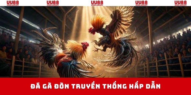 Đá gà trực tiếp Thomo với các trận đấu truyền thống quen thuộc