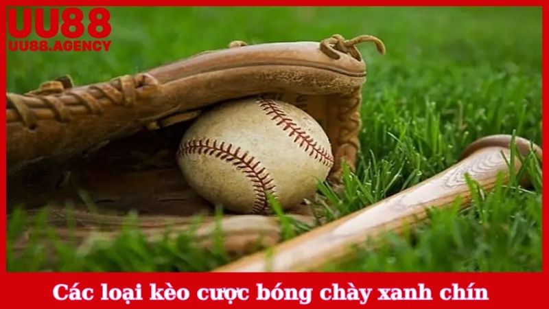 Các loại kèo cược bóng chày xanh chín 